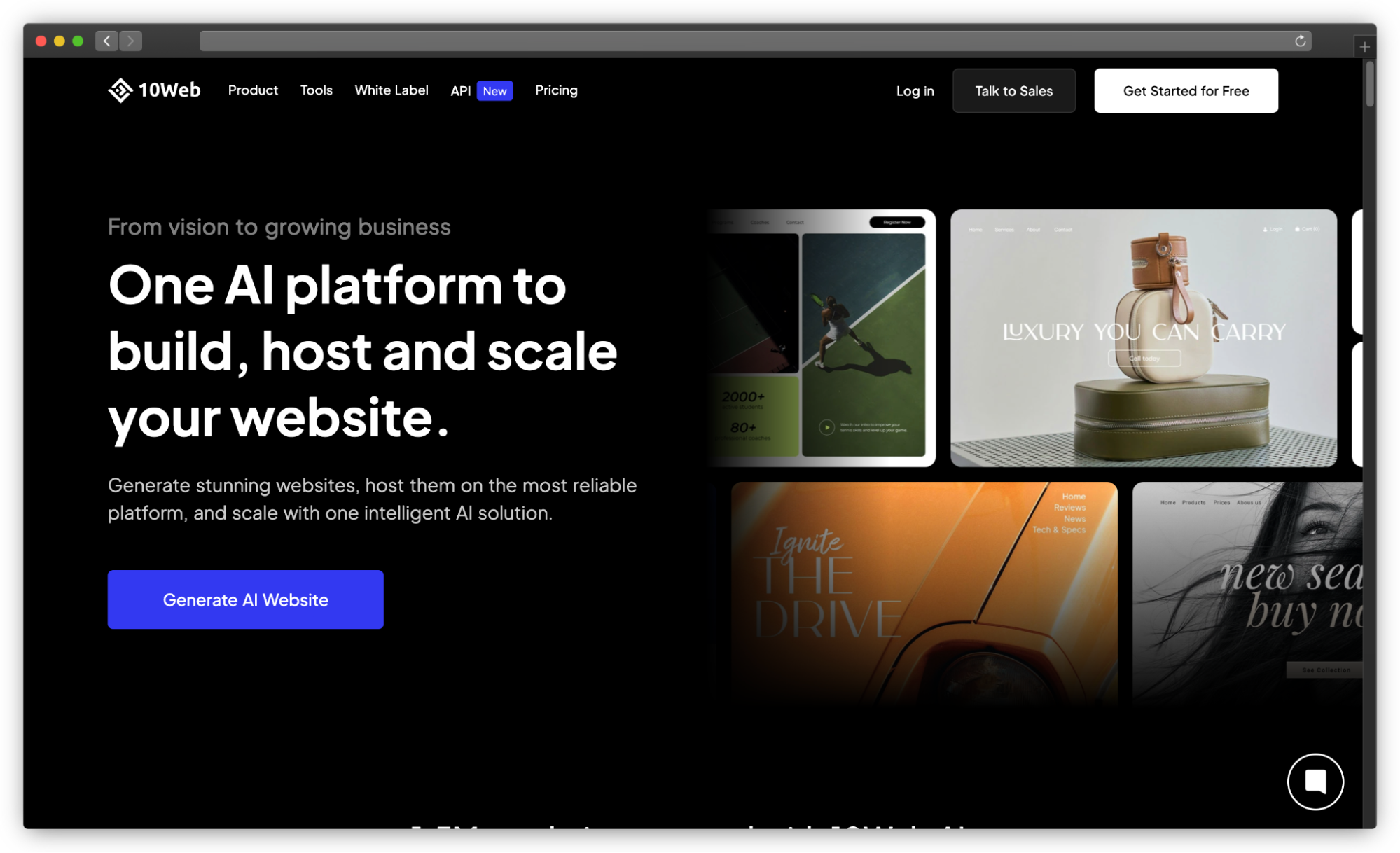 10Web Website Screenshot